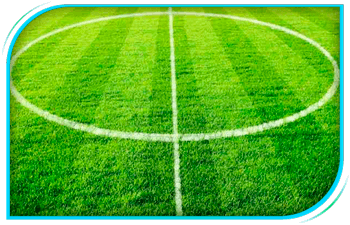 CAMPOS ESPORTIVOS