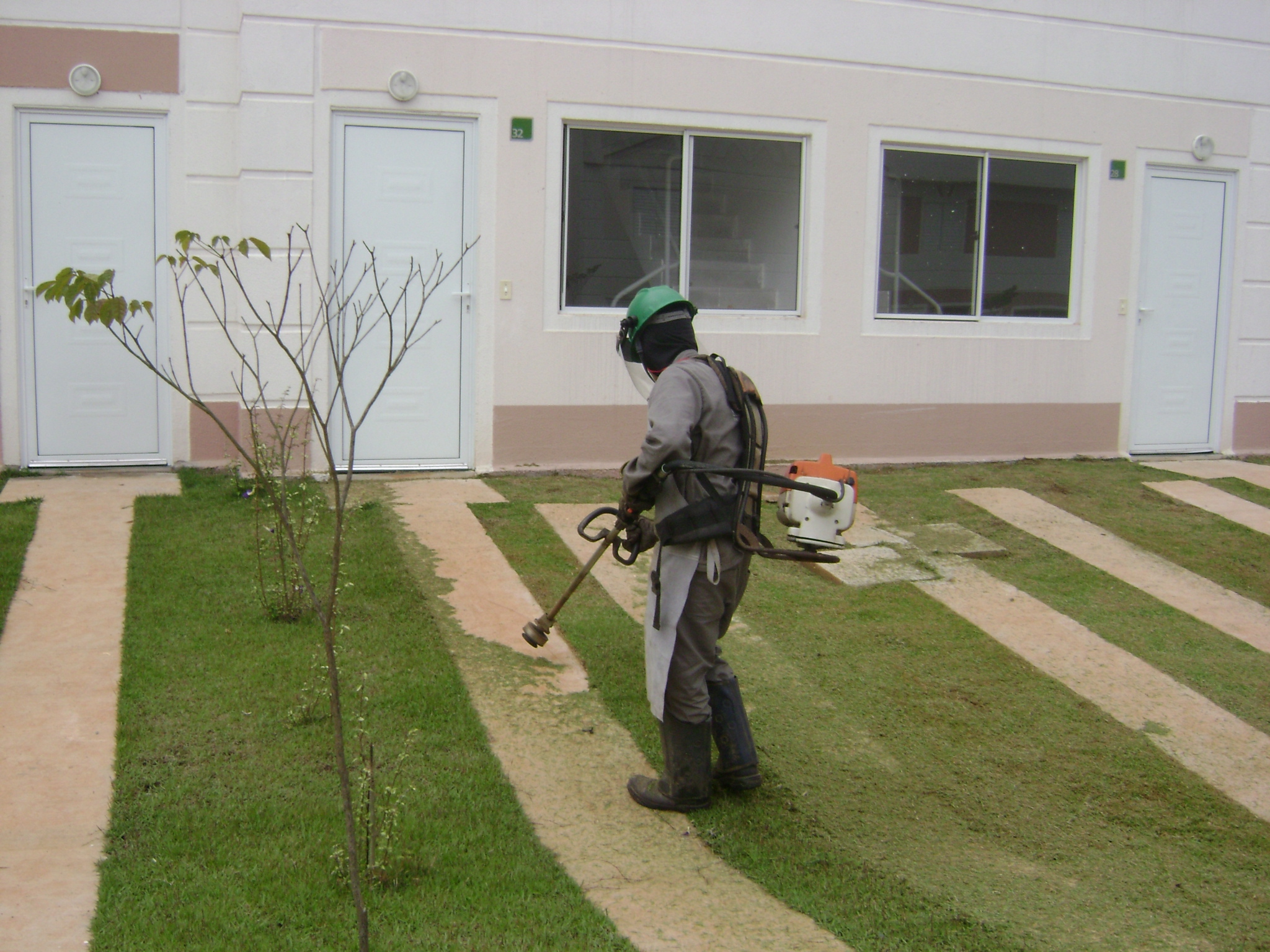 A Importância da Manutenção de Jardim: Dicas e Serviços Essenciais