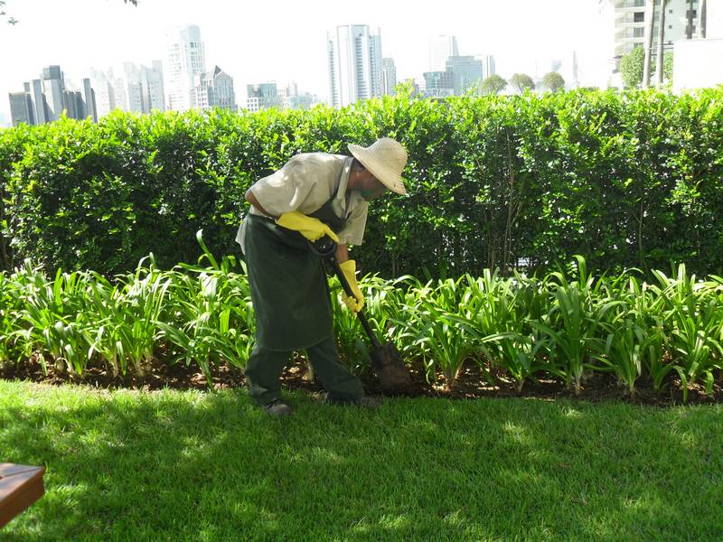 Transforme seu Espaço com a Ajuda de uma Empresa de Jardinagem e Paisagismo